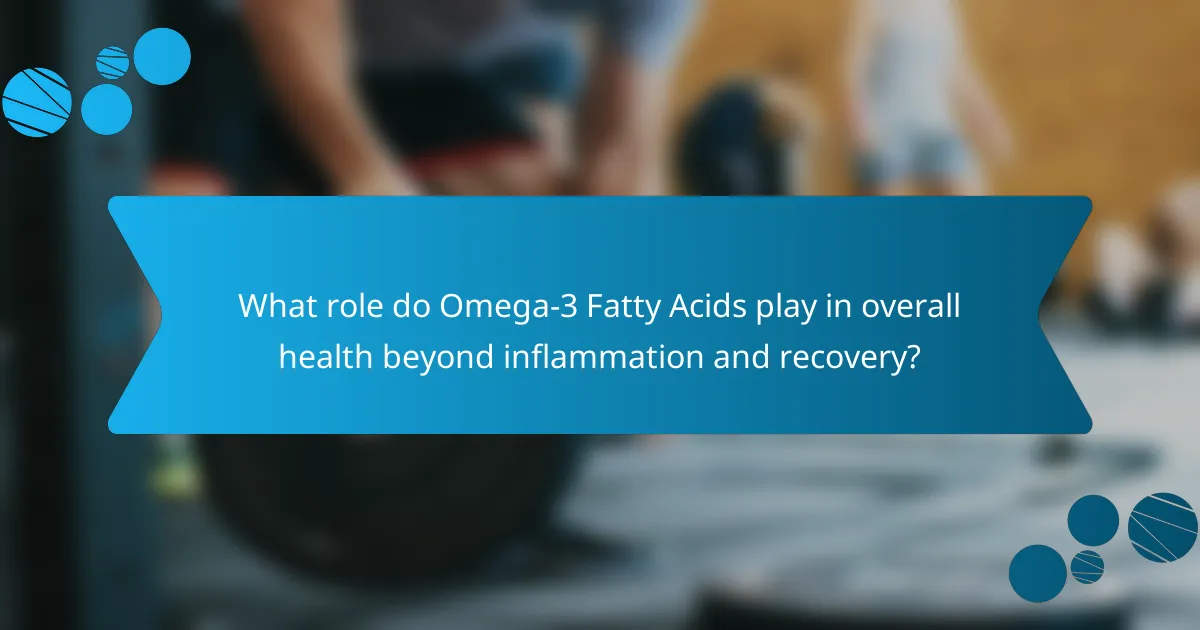 What role do Omega-3 Fatty Acids play in overall health beyond inflammation and recovery?